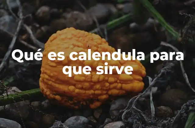 Qué es Calendula para que Sirve