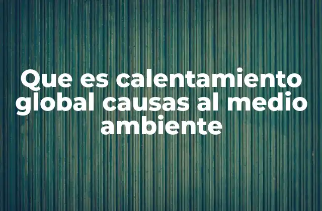 Que es Calentamiento Global Causas Al Medio Ambiente