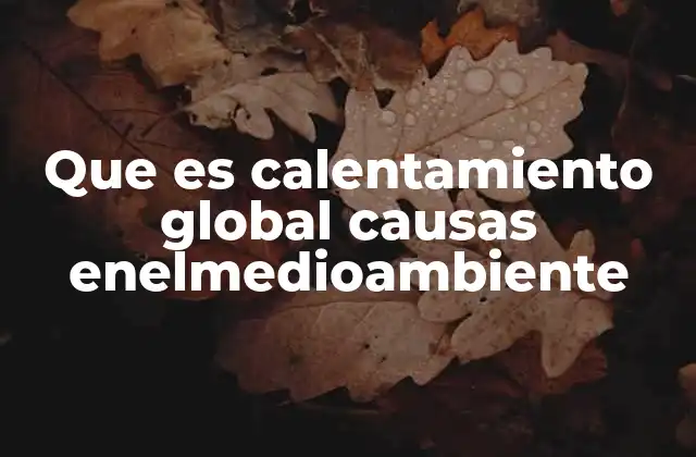 Que es Calentamiento Global Causas Enelmedioambiente