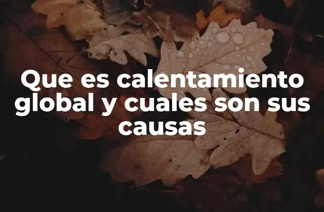 Que es Calentamiento Global y Cuales Son Sus Causas