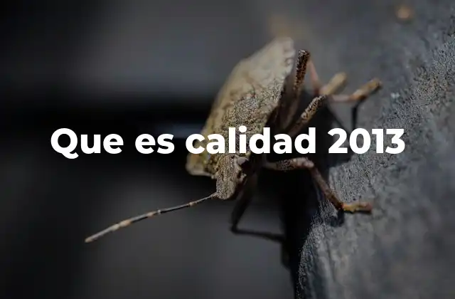 Que es Calidad 2013