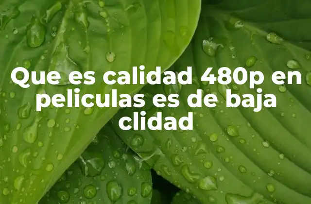 Que es Calidad 480p en Peliculas es de Baja Clidad