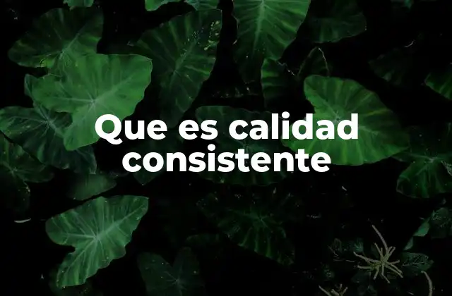 Que es Calidad Consistente 2 ¿Cómo se logra una calidad estable en procesos industriales?