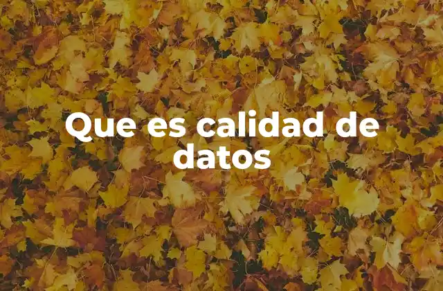 La importancia de los datos en la toma de decisiones empresariales