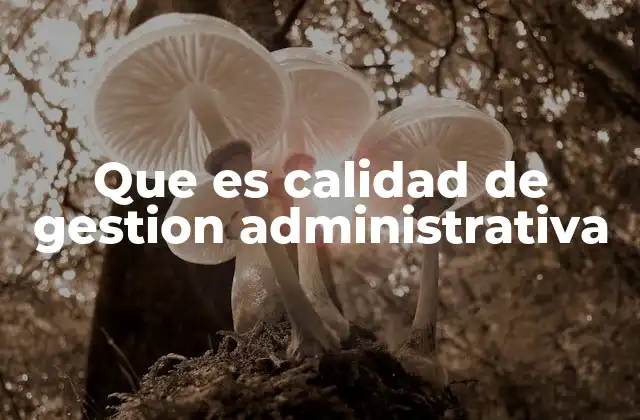 Que es Calidad de Gestion Administrativa