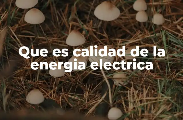 Que es Calidad de la Energia Electrica