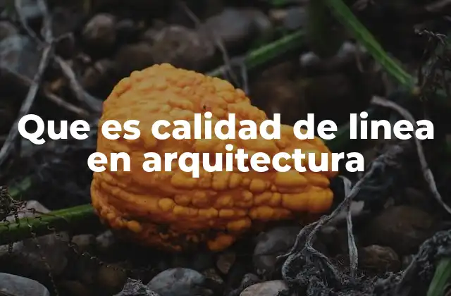 Que es Calidad de Linea en Arquitectura