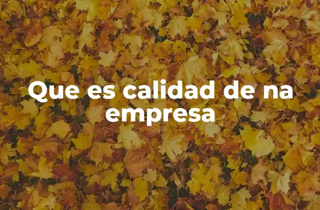 Que es Calidad de Na Empresa