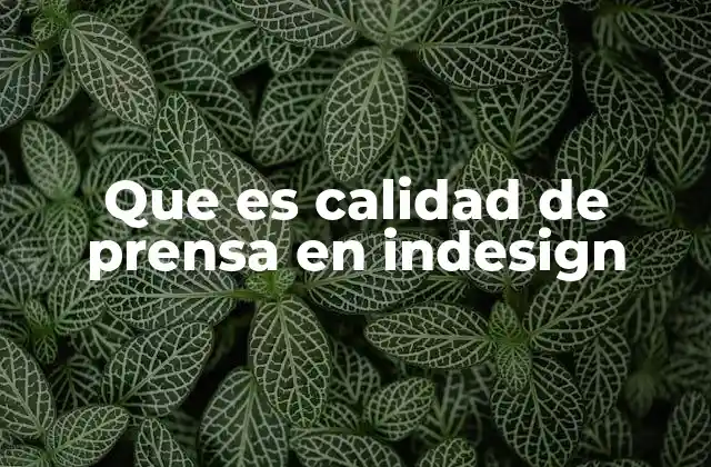 Que es Calidad de Prensa en Indesign