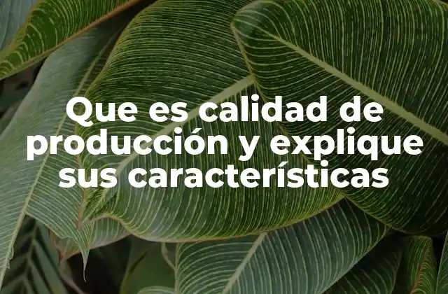 Que es Calidad de Producción y Explique Sus Características
