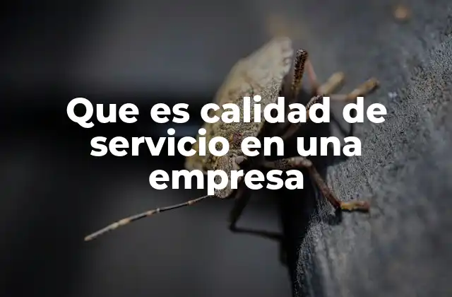 Que es Calidad de Servicio en una Empresa