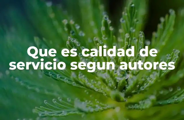 La evolución del concepto de calidad de servicio