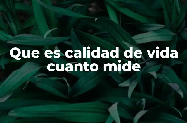 Que es Calidad de Vida Cuanto Mide