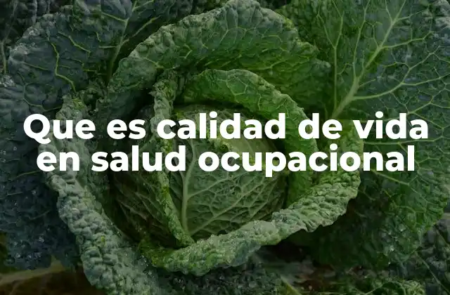 Que es Calidad de Vida en Salud Ocupacional