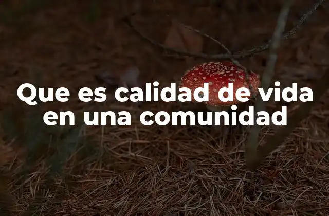Que es Calidad de Vida en una Comunidad