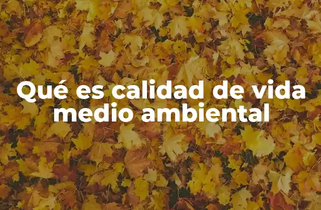 Qué es Calidad de Vida Medio Ambiental