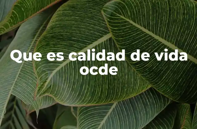 Que es Calidad de Vida Ocde