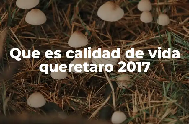 Que es Calidad de Vida Queretaro 2017