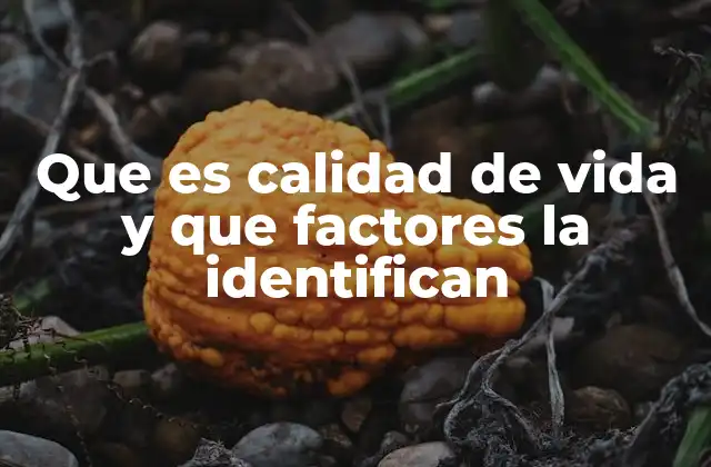 Los pilares que sustentan una vida plena