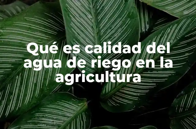 Qué es Calidad Del Agua de Riego en la Agricultura
