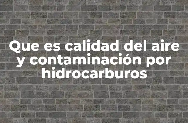 Que es Calidad Del Aire y Contaminación por Hidrocarburos