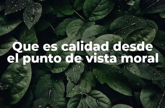 Que es Calidad desde el Punto de Vista Moral