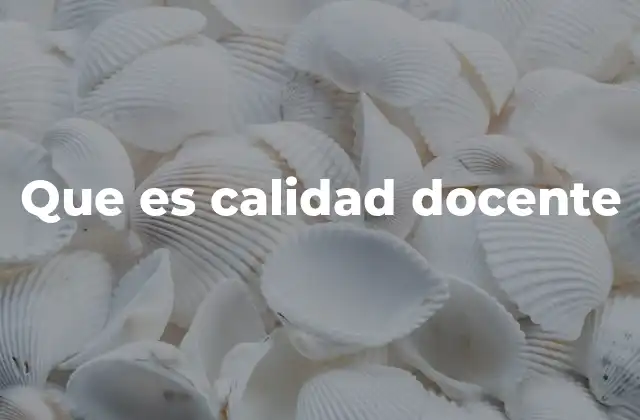 Que es Calidad Docente