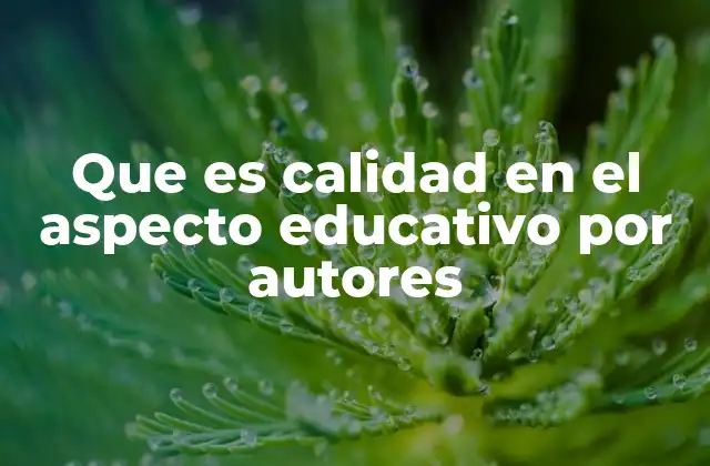 Que es Calidad en el Aspecto Educativo por Autores