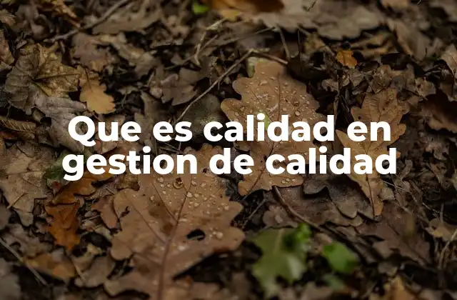 Que es Calidad en Gestion de Calidad