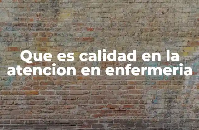 Que es Calidad en la Atencion en Enfermeria
