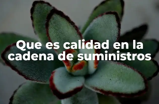 Que es Calidad en la Cadena de Suministros