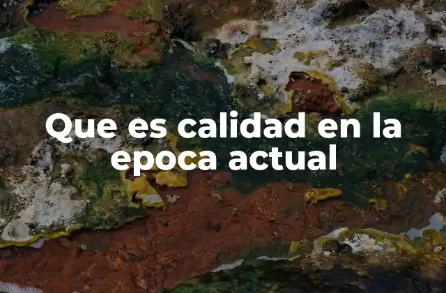 Que es Calidad en la Epoca Actual