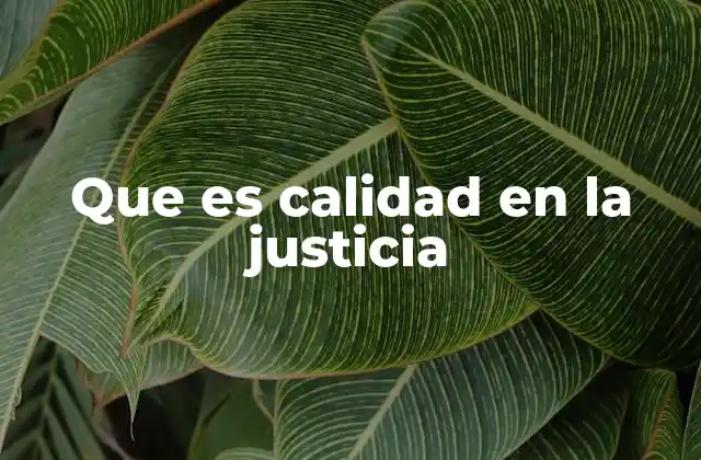 Que es Calidad en la Justicia
