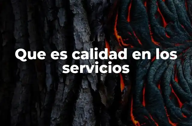 Que es Calidad en los Servicios