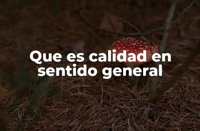 Que es Calidad en Sentido General