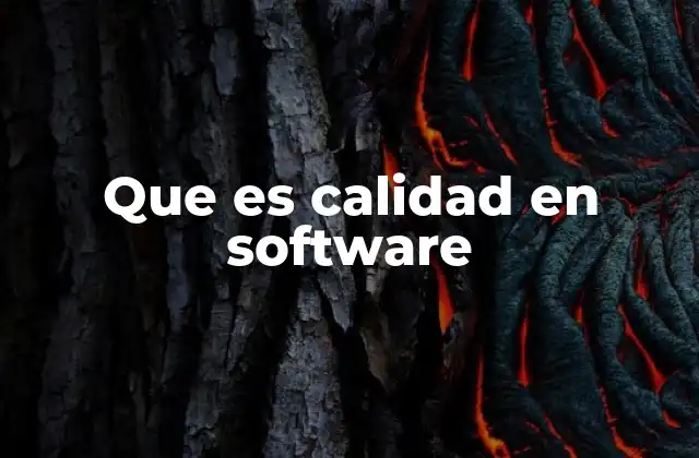 Que es Calidad en Software