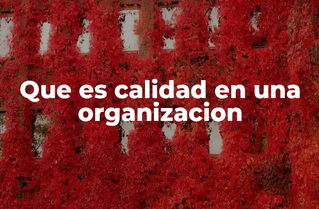 Que es Calidad en una Organizacion