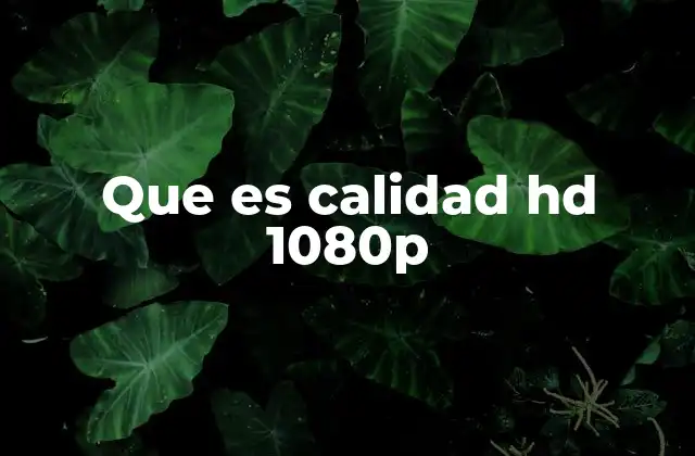 Que es Calidad Hd 1080p
