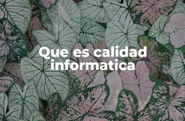 Que es Calidad Informatica