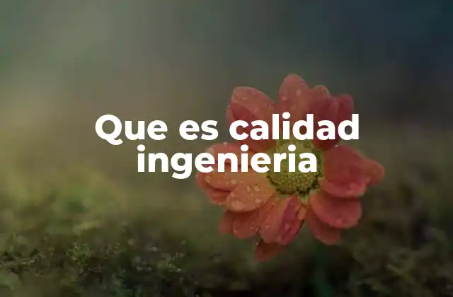 Que es Calidad Ingenieria