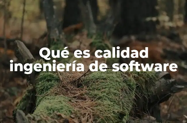 Qué es Calidad Ingeniería de Software