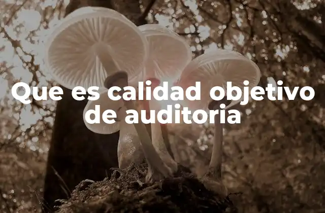 Que es Calidad Objetivo de Auditoria