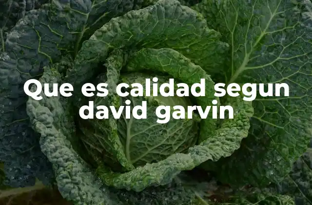 Que es Calidad Segun David Garvin