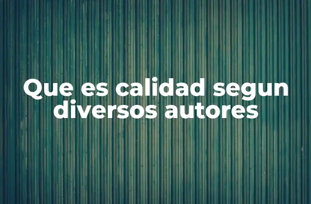 Que es Calidad Segun Diversos Autores