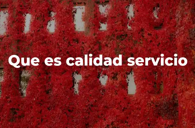 Que es Calidad Servicio