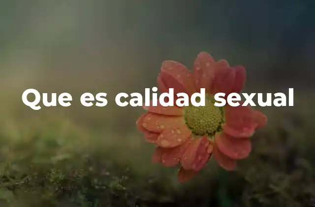 Que es Calidad Sexual