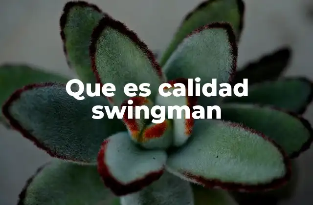 Que es Calidad Swingman