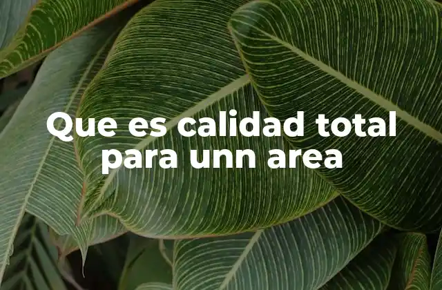 Que es Calidad Total para Unn Area