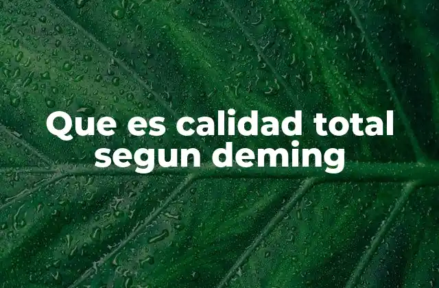 Que es Calidad Total Segun Deming