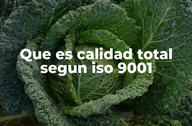 Que es Calidad Total Segun Iso 9001